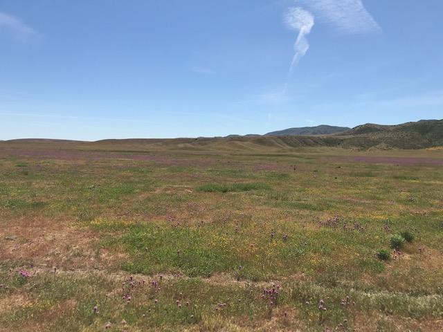 981 New Idria Road, PAICINES, California 95043, ,Lots And Land,For Sale,New Idria Road,40964461