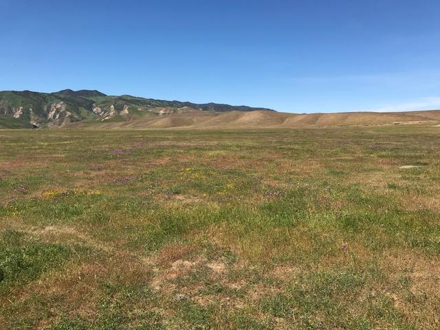 981 New Idria Road, PAICINES, California 95043, ,Lots And Land,For Sale,New Idria Road,40964461