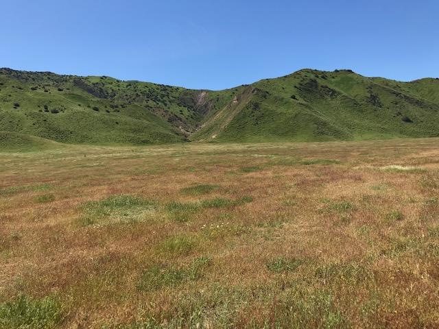 981 New Idria Road, PAICINES, California 95043, ,Lots And Land,For Sale,New Idria Road,40964461