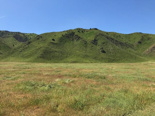 981 New Idria Road, PAICINES, California 95043, ,Lots And Land,For Sale,New Idria Road,40964461