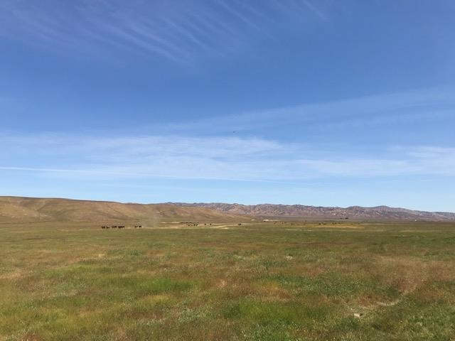 981 New Idria Road, PAICINES, California 95043, ,Lots And Land,For Sale,New Idria Road,40964461