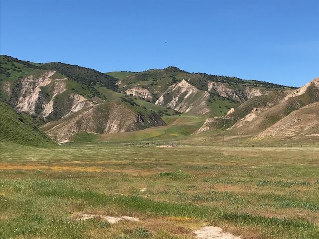 981 New Idria Road, PAICINES, California 95043, ,Lots And Land,For Sale,New Idria Road,40964461