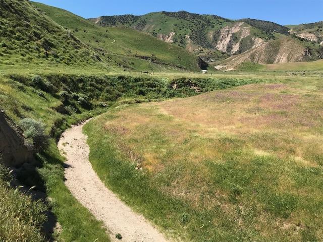 981 New Idria Road, PAICINES, California 95043, ,Lots And Land,For Sale,New Idria Road,40964461