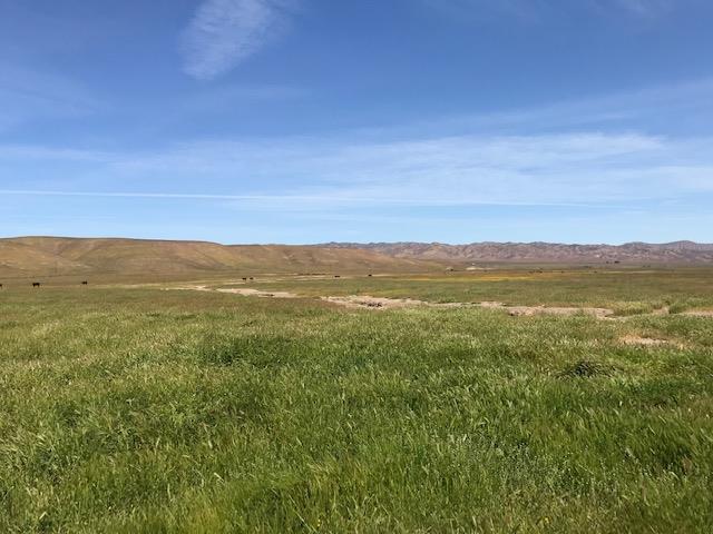 981 New Idria Road, PAICINES, California 95043, ,Lots And Land,For Sale,New Idria Road,40964461