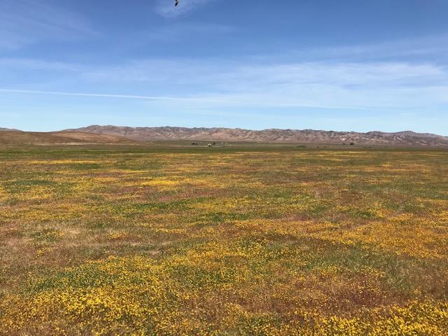 981 New Idria Road, PAICINES, California 95043, ,Lots And Land,For Sale,New Idria Road,40964461