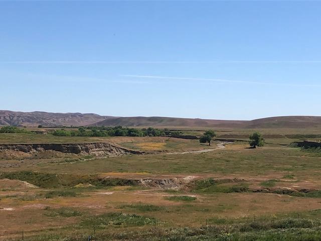 981 New Idria Road, PAICINES, California 95043, ,Lots And Land,For Sale,New Idria Road,40964461