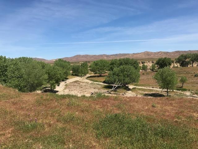 981 New Idria Road, PAICINES, California 95043, ,Lots And Land,For Sale,New Idria Road,40964461