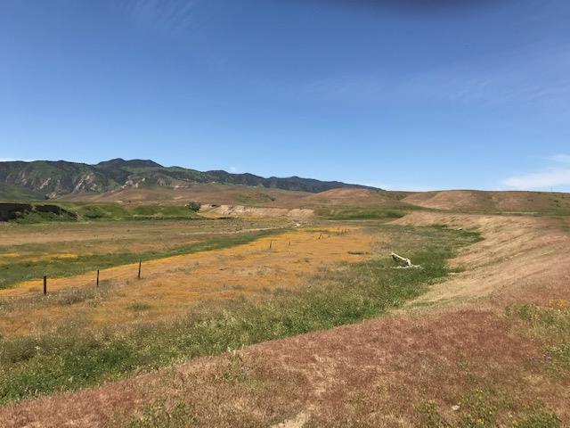 981 New Idria Road, PAICINES, California 95043, ,Lots And Land,For Sale,New Idria Road,40964461