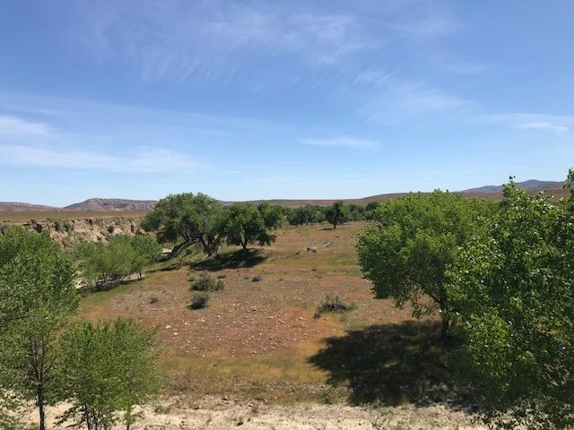 981 New Idria Road, PAICINES, California 95043, ,Lots And Land,For Sale,New Idria Road,40964461