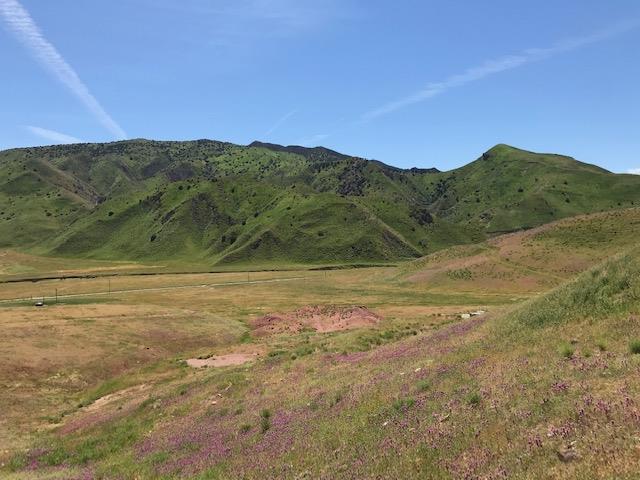 981 New Idria Road, PAICINES, California 95043, ,Lots And Land,For Sale,New Idria Road,40964461