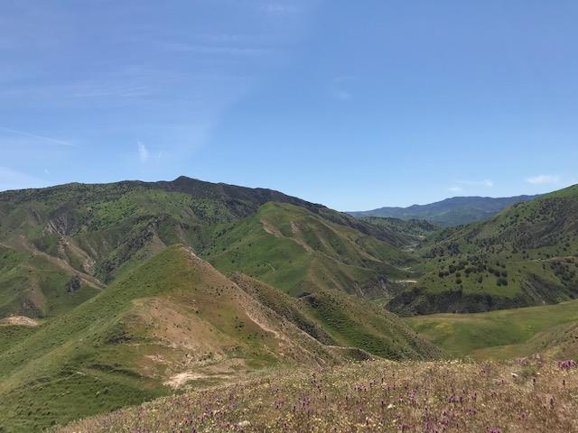 981 New Idria Road, PAICINES, California 95043, ,Lots And Land,For Sale,New Idria Road,40964461