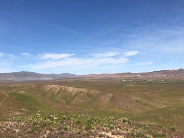 981 New Idria Road, PAICINES, California 95043, ,Lots And Land,For Sale,New Idria Road,40964461