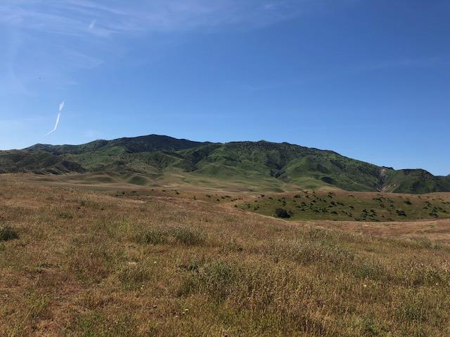 981 New Idria Road, PAICINES, California 95043, ,Lots And Land,For Sale,New Idria Road,40964461