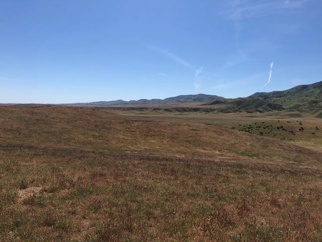 981 New Idria Road, PAICINES, California 95043, ,Lots And Land,For Sale,New Idria Road,40964461