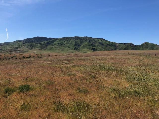 981 New Idria Road, PAICINES, California 95043, ,Lots And Land,For Sale,New Idria Road,40964461