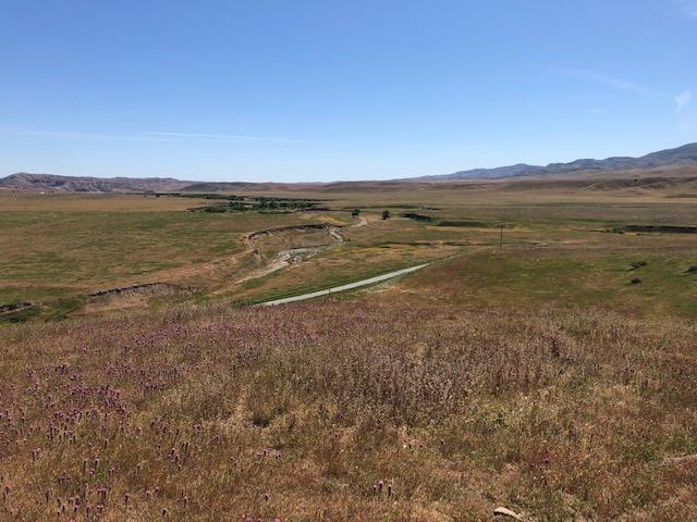 981 New Idria Road, PAICINES, California 95043, ,Lots And Land,For Sale,New Idria Road,40964461