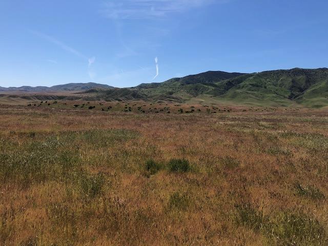 981 New Idria Road, PAICINES, California 95043, ,Lots And Land,For Sale,New Idria Road,40964461