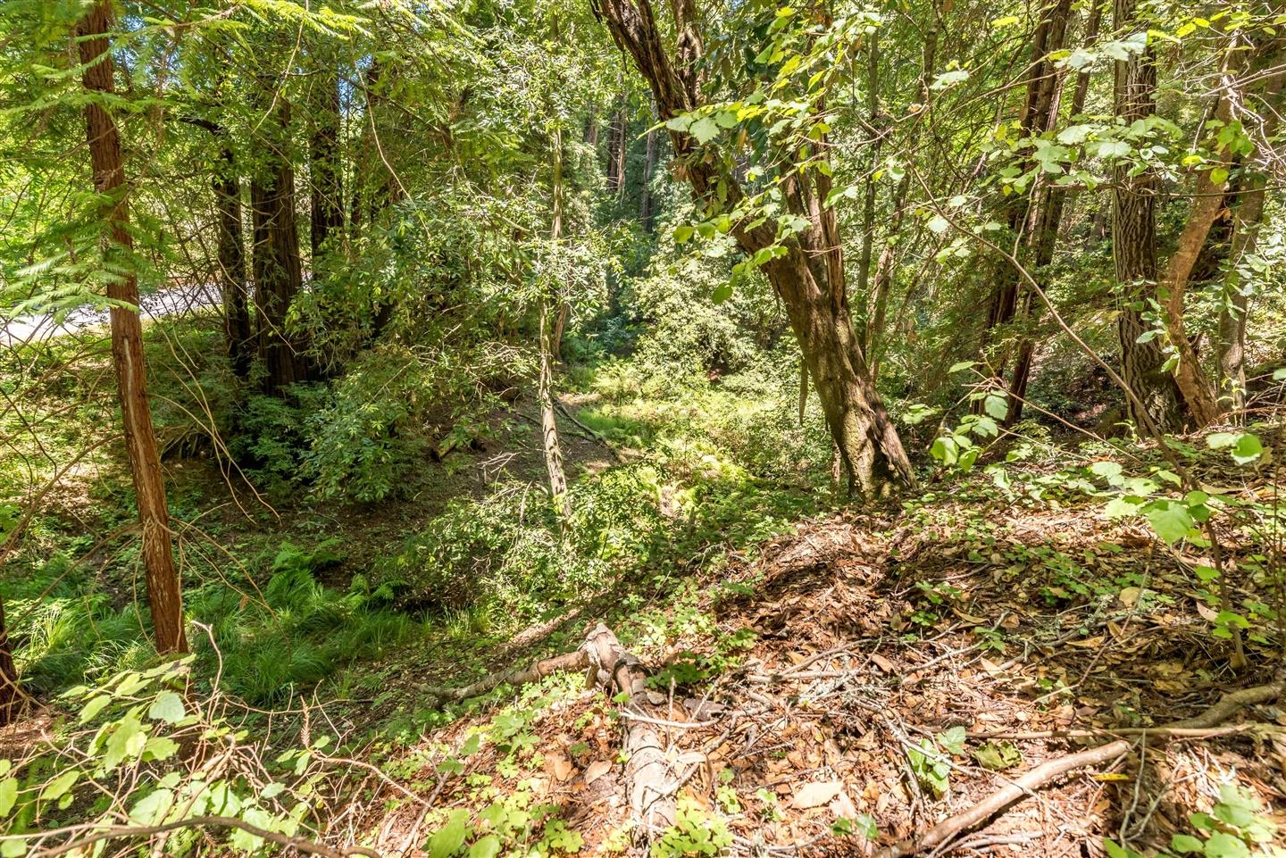 3960 Trout Gulch Road, APTOS, California 95003, ,Lots And Land,For Sale,Trout Gulch Road,40962037