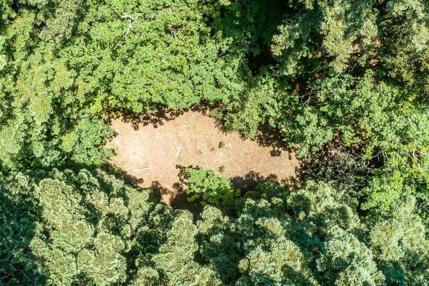 3960 Trout Gulch Road, APTOS, California 95003, ,Lots And Land,For Sale,Trout Gulch Road,40962037