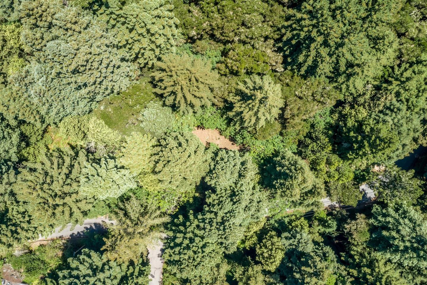 3960 Trout Gulch Road, APTOS, California 95003, ,Lots And Land,For Sale,Trout Gulch Road,40962037