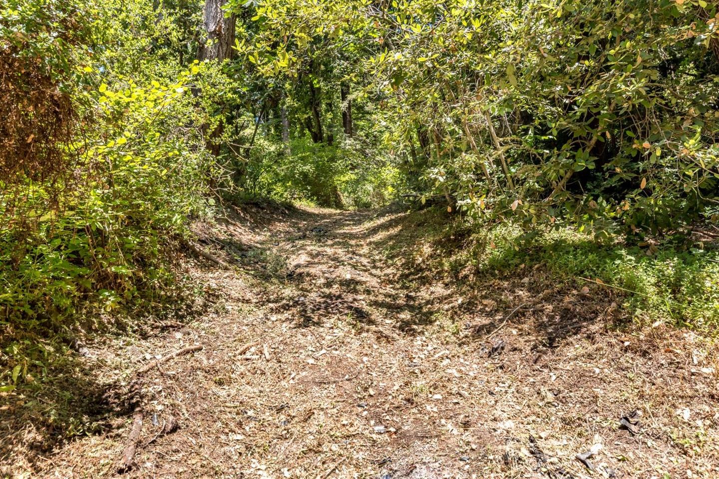 3960 Trout Gulch Road, APTOS, California 95003, ,Lots And Land,For Sale,Trout Gulch Road,40962037