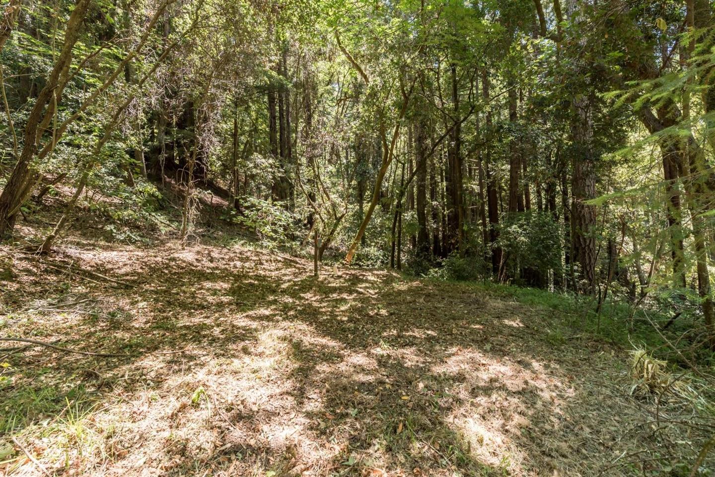 3960 Trout Gulch Road, APTOS, California 95003, ,Lots And Land,For Sale,Trout Gulch Road,40962037