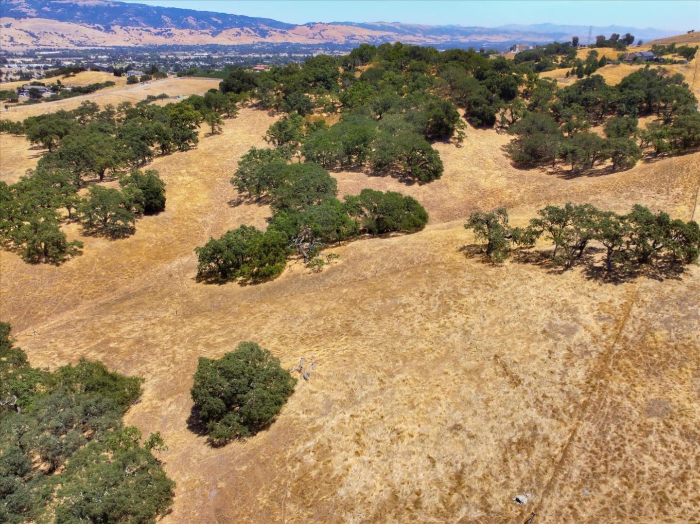 Lot #21 San Martin Avenue, SAN MARTIN, California 95046, ,Lots And Land,For Sale,San Martin Avenue,40962036