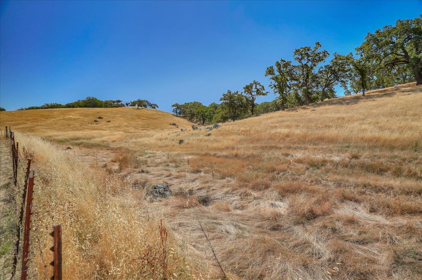 Lot #21 San Martin Avenue, SAN MARTIN, California 95046, ,Lots And Land,For Sale,San Martin Avenue,40962036