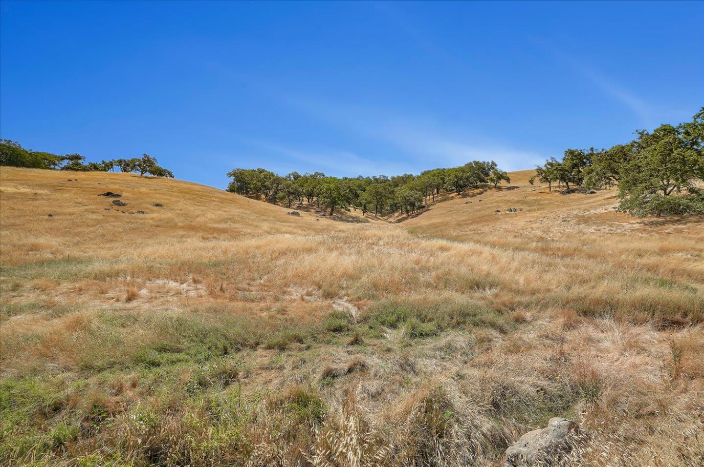 Lot #21 San Martin Avenue, SAN MARTIN, California 95046, ,Lots And Land,For Sale,San Martin Avenue,40962036