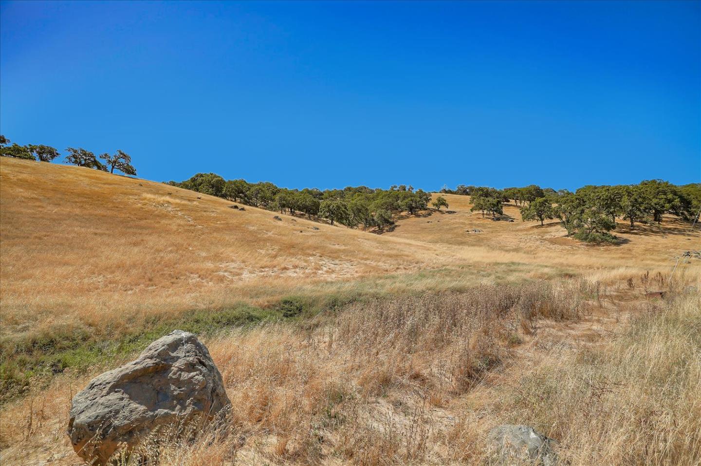 Lot #21 San Martin Avenue, SAN MARTIN, California 95046, ,Lots And Land,For Sale,San Martin Avenue,40962036