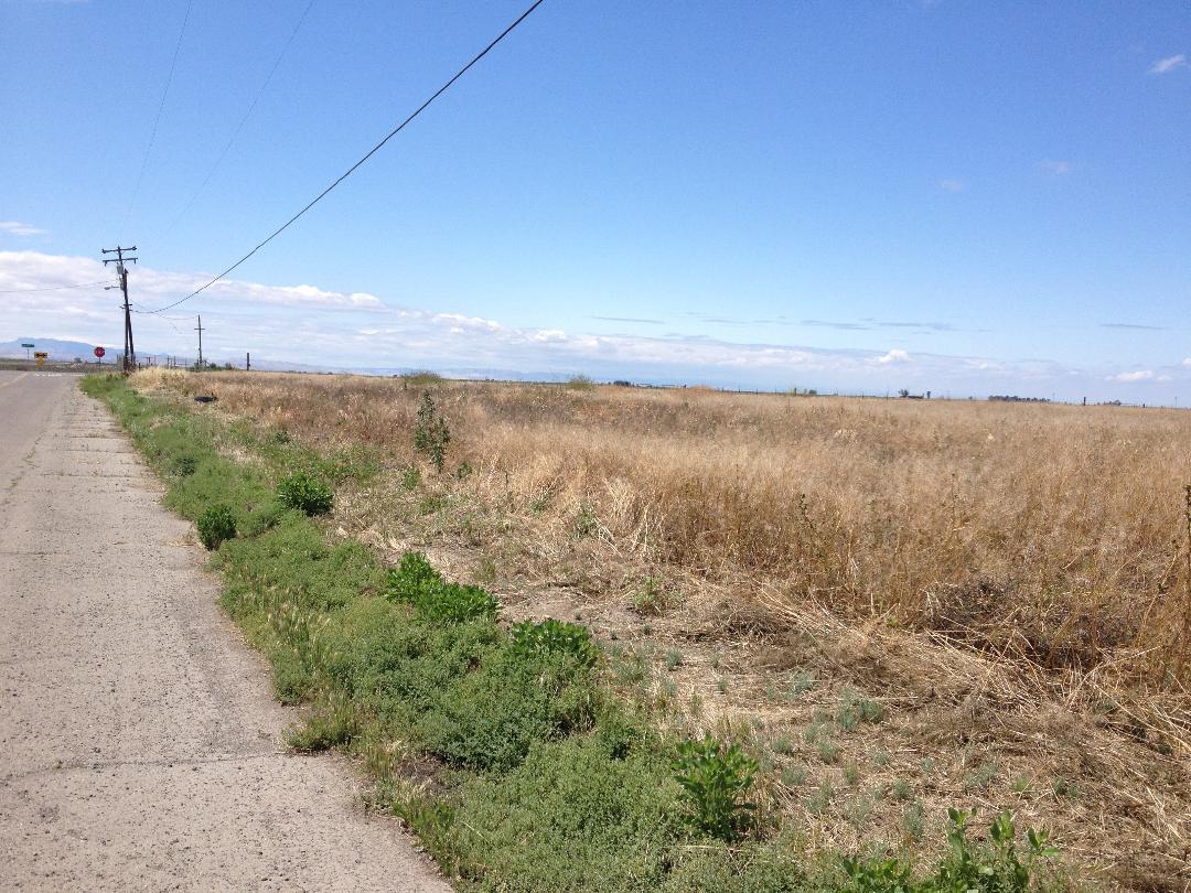 37 Christian Street, DOS PALOS, California 93620, ,Lots And Land,For Sale,Christian Street,40963482