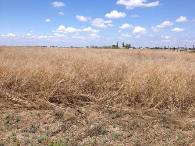 37 Christian Street, DOS PALOS, California 93620, ,Lots And Land,For Sale,Christian Street,40963482