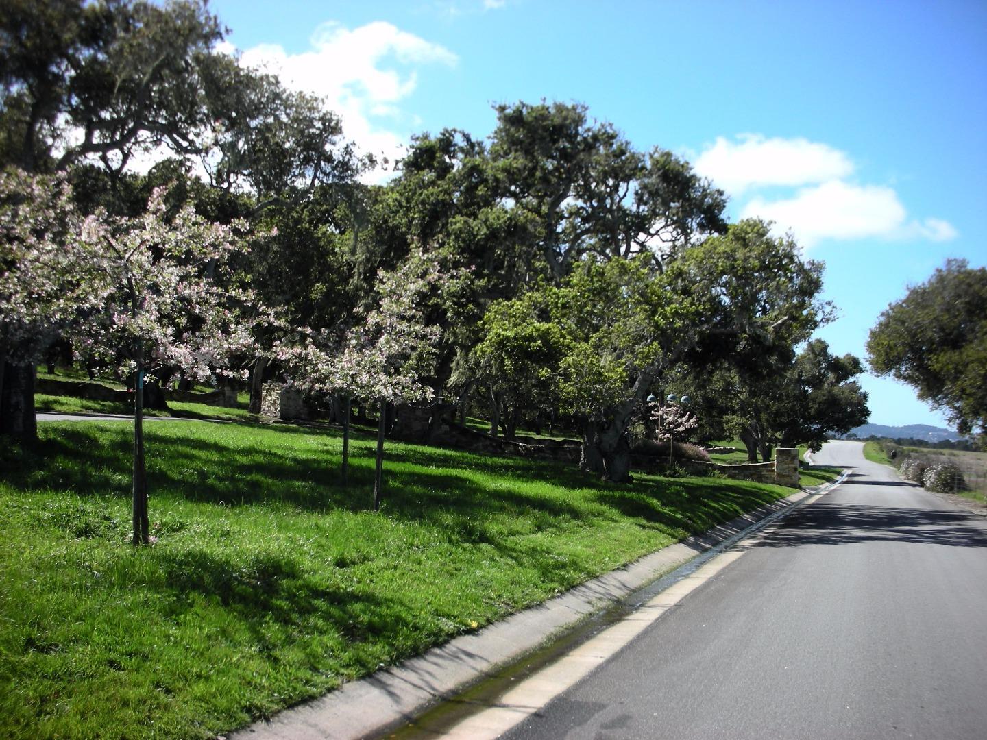 7745 Paseo Venado (Lot 83), MONTEREY, California 93940, ,Lots And Land,For Sale,Paseo Venado (Lot 83),40963762