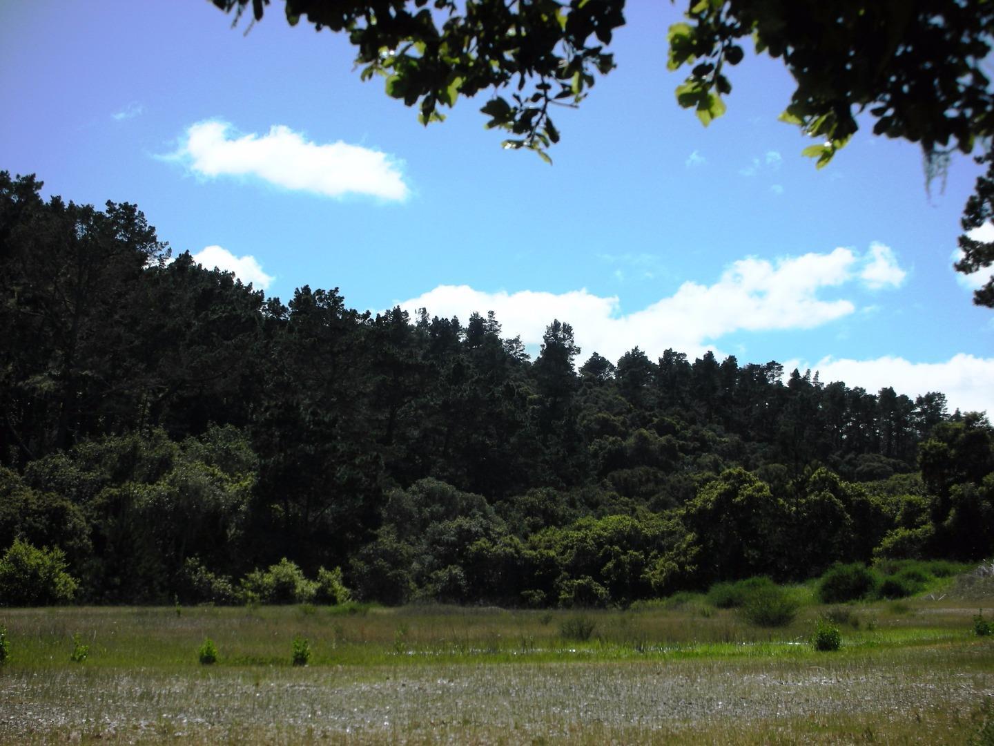7745 Paseo Venado (Lot 83), MONTEREY, California 93940, ,Lots And Land,For Sale,Paseo Venado (Lot 83),40963762