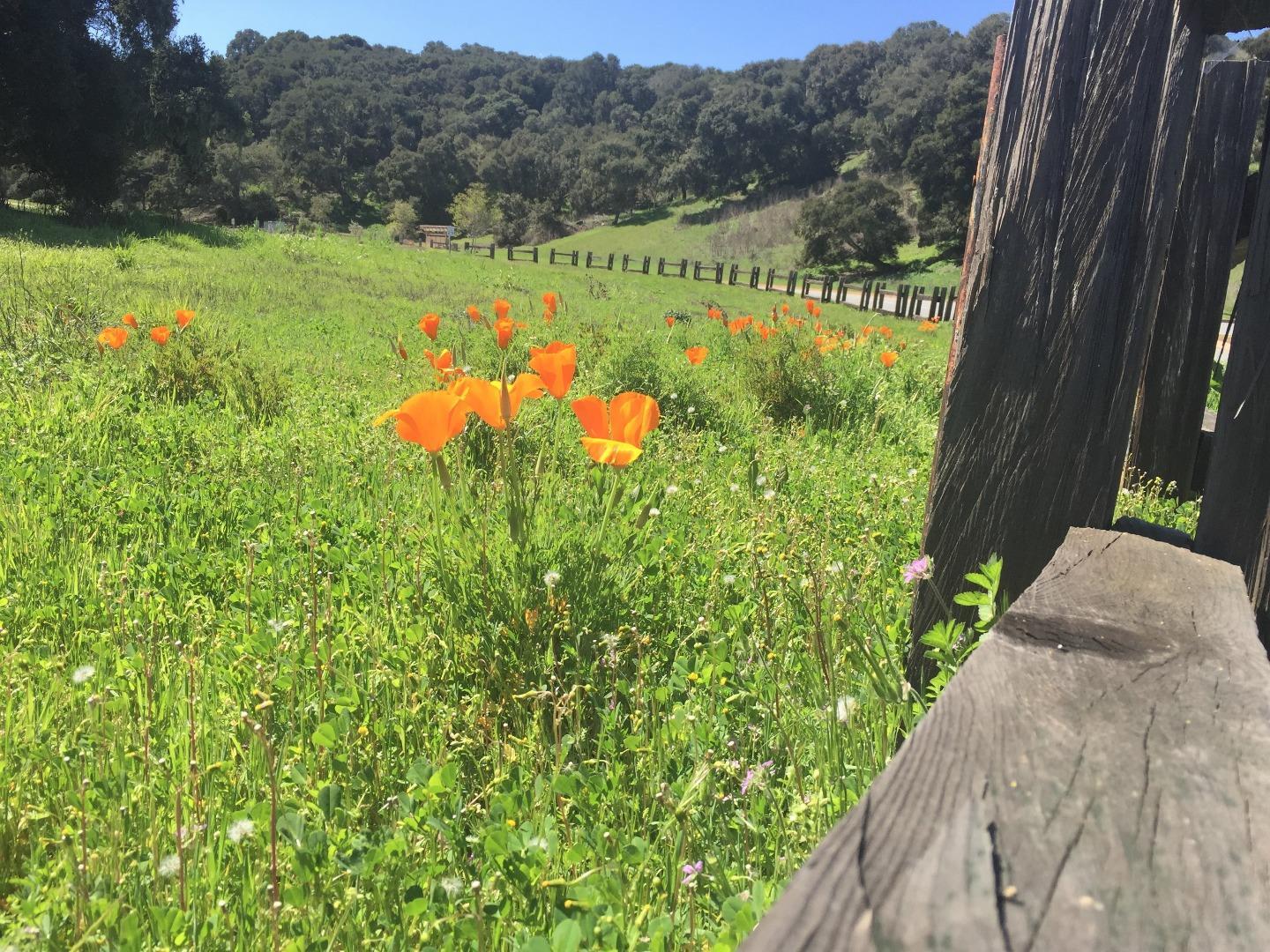 7572 Paseo Vista Place (Lot 52), MONTEREY, California 93940, ,Lots And Land,For Sale,Paseo Vista Place (Lot 52),40964974