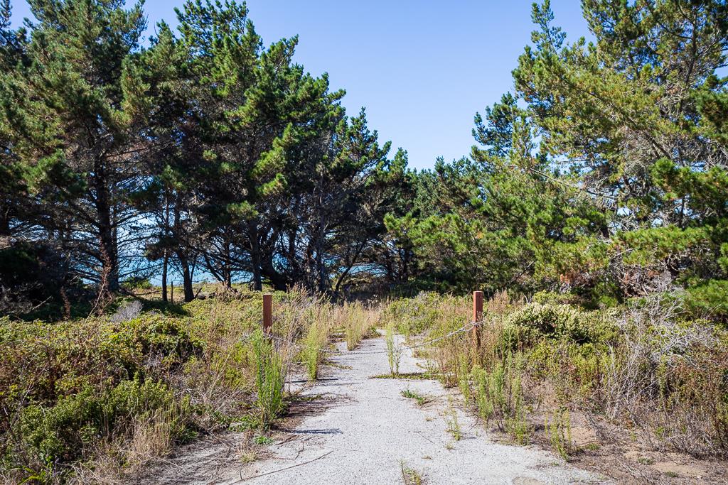 0 Cabrillo Highway, PESCADERO, California 94060, ,Lots And Land,For Sale,Cabrillo Highway,40963092