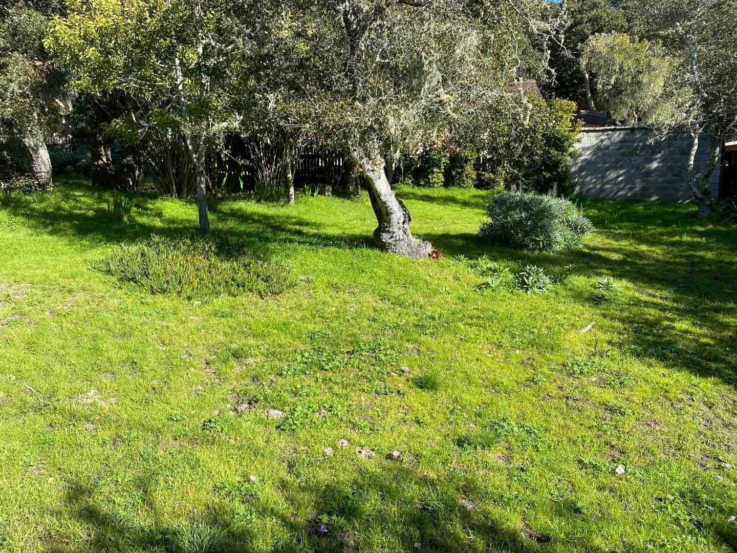 3072 Serra Avenue, CARMEL, California 93923, ,Lots And Land,For Sale,Serra Avenue,40962141