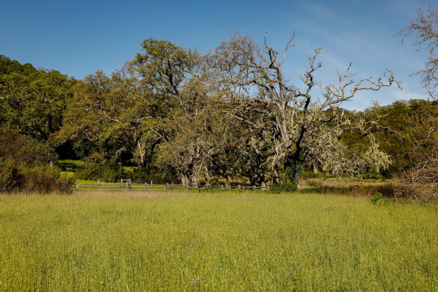 34222 Robinson Canyon Road, CARMEL, California 93923, ,Lots And Land,For Sale,Robinson Canyon Road,40962171