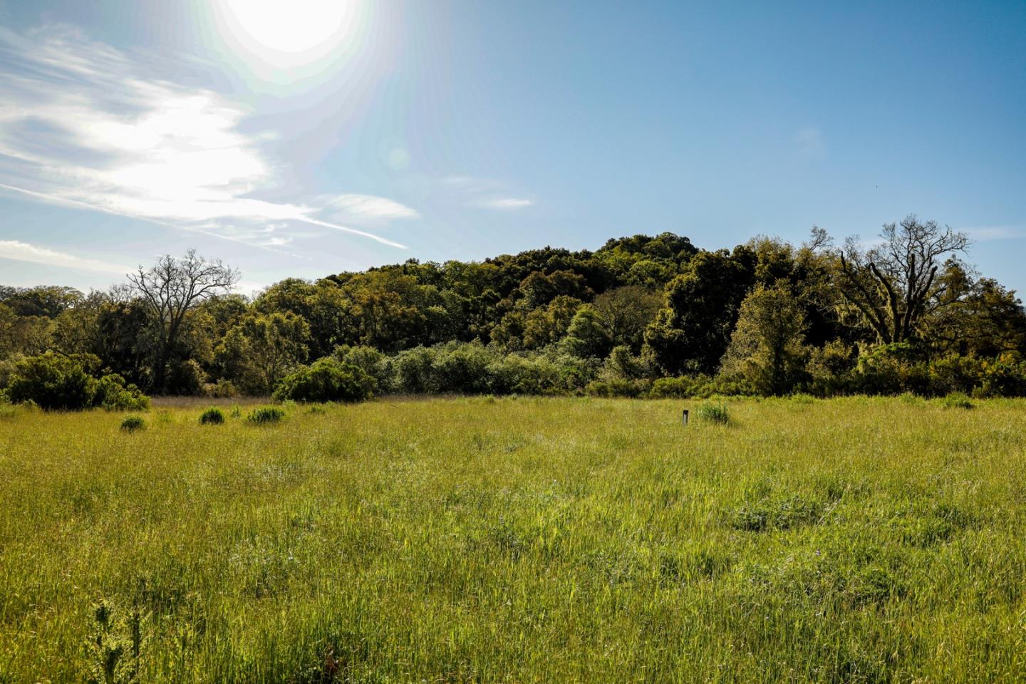 34222 Robinson Canyon Road, CARMEL, California 93923, ,Lots And Land,For Sale,Robinson Canyon Road,40962171