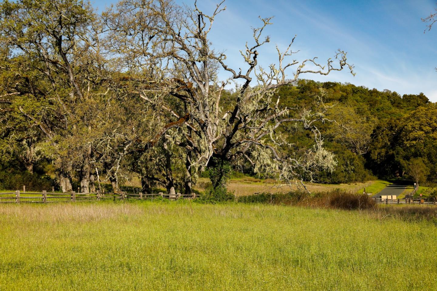 34222 Robinson Canyon Road, CARMEL, California 93923, ,Lots And Land,For Sale,Robinson Canyon Road,40962171