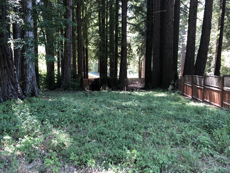 17141 HIGHWAY 9, BOULDER CREEK, California 95006, ,Lots And Land,For Sale,HIGHWAY 9,40962052