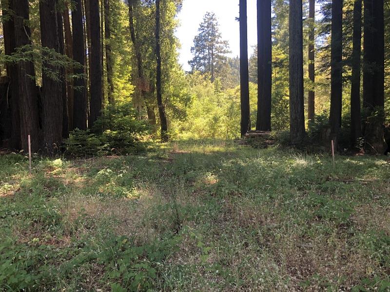 17141 HIGHWAY 9, BOULDER CREEK, California 95006, ,Lots And Land,For Sale,HIGHWAY 9,40962052