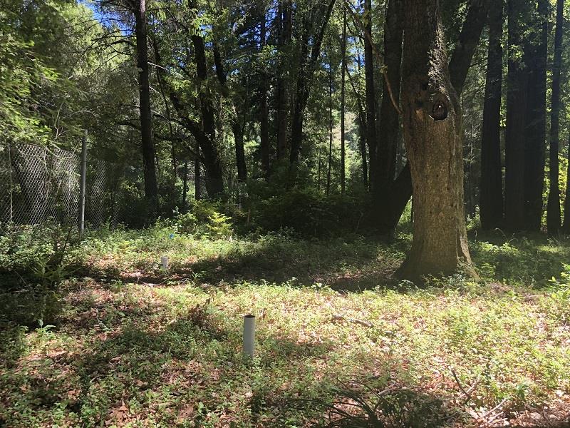 17141 HIGHWAY 9, BOULDER CREEK, California 95006, ,Lots And Land,For Sale,HIGHWAY 9,40962052