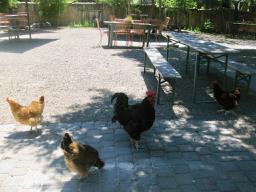 25 Pilot Road, CARMEL VALLEY, California 93924, ,Comm Industrial For Sale,For Sale,Pilot Road,40962241