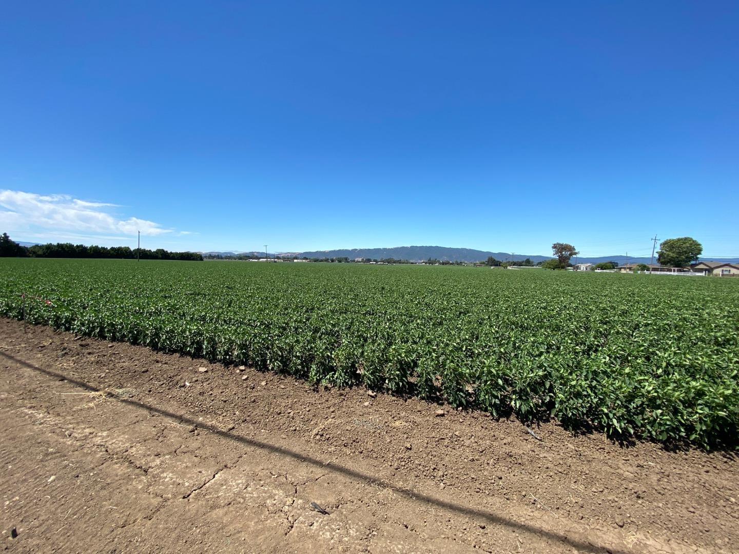 0 Furlong Avenue, GILROY, California 95020, ,Lots And Land,For Sale,Furlong Avenue,40963407