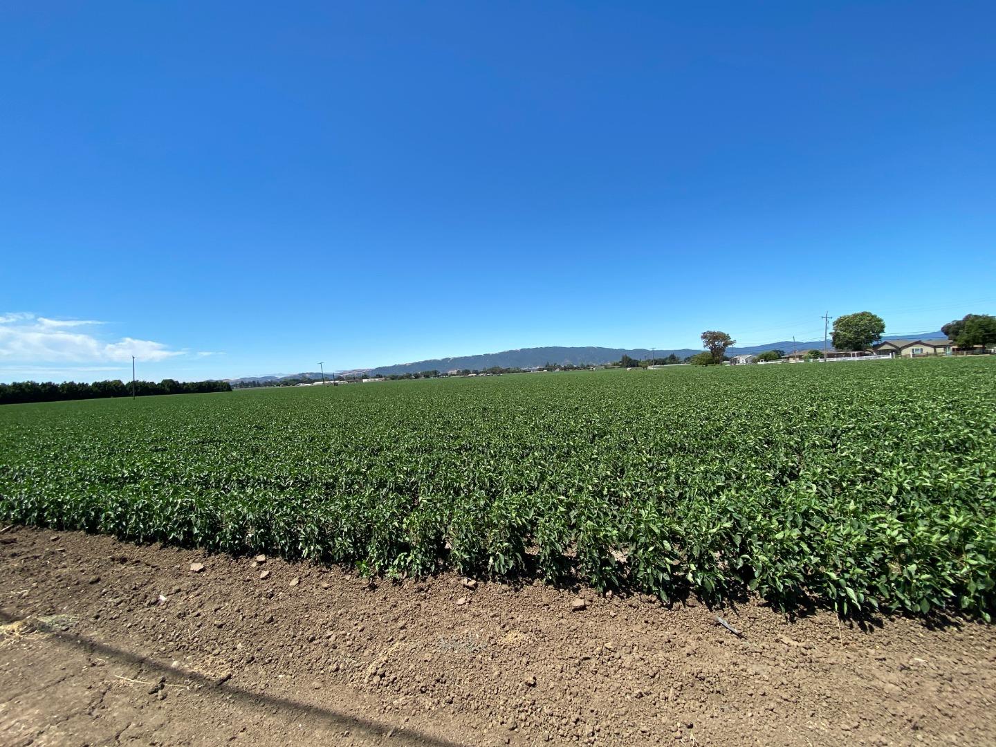 0 Furlong Avenue, GILROY, California 95020, ,Lots And Land,For Sale,Furlong Avenue,40963407
