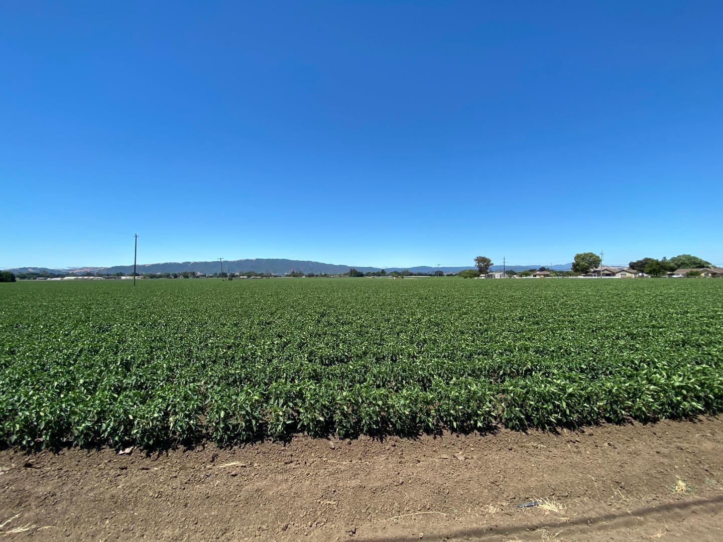 0 Furlong Avenue, GILROY, California 95020, ,Lots And Land,For Sale,Furlong Avenue,40963407