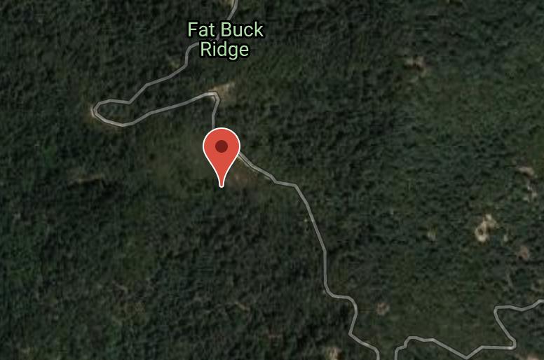 089-011-04 Skyview Road, BOULDER CREEK, California 95006, ,Lots And Land,For Sale,Skyview Road,40965310