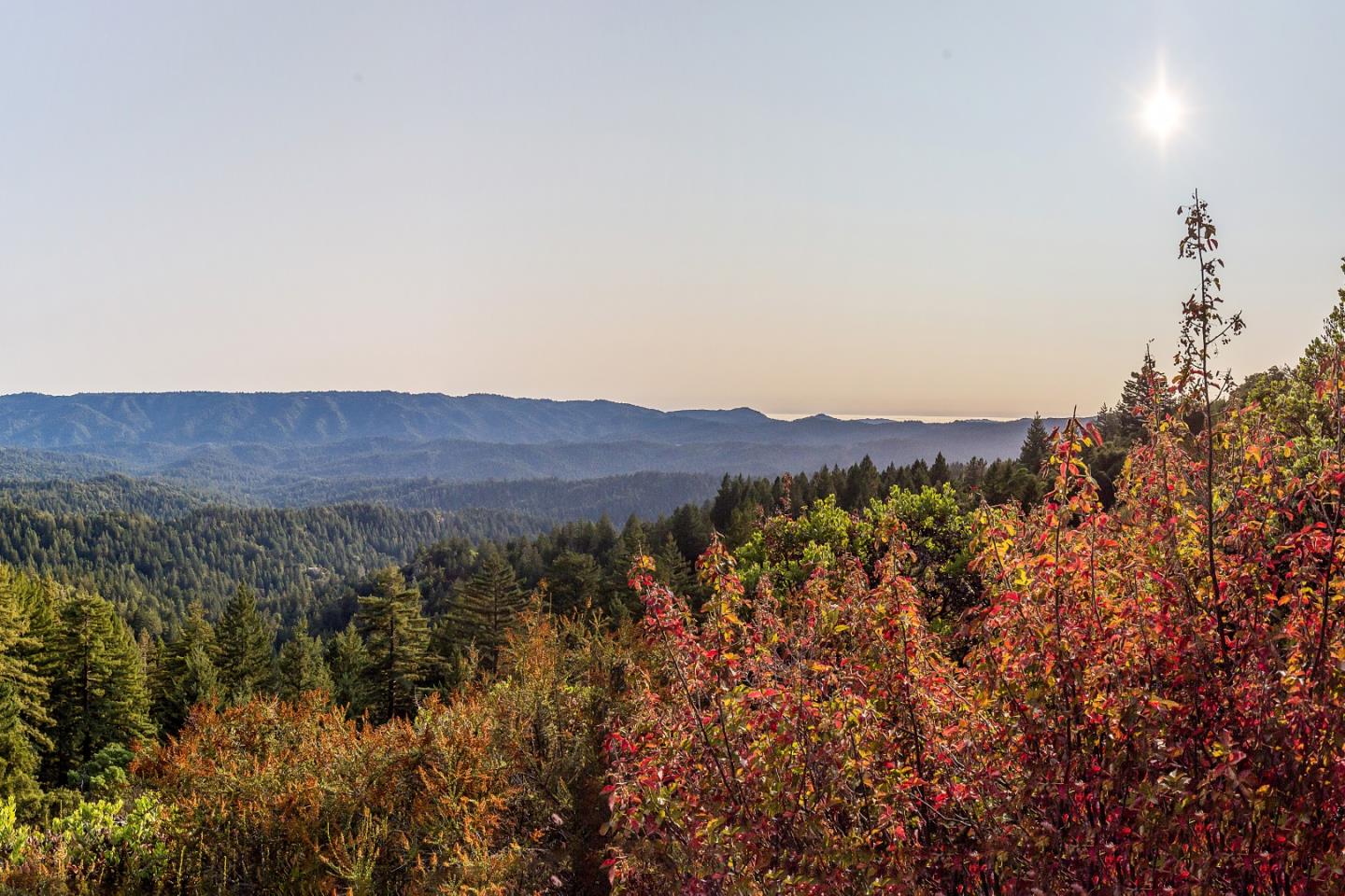 089-011-04 Skyview Road, BOULDER CREEK, California 95006, ,Lots And Land,For Sale,Skyview Road,40965310