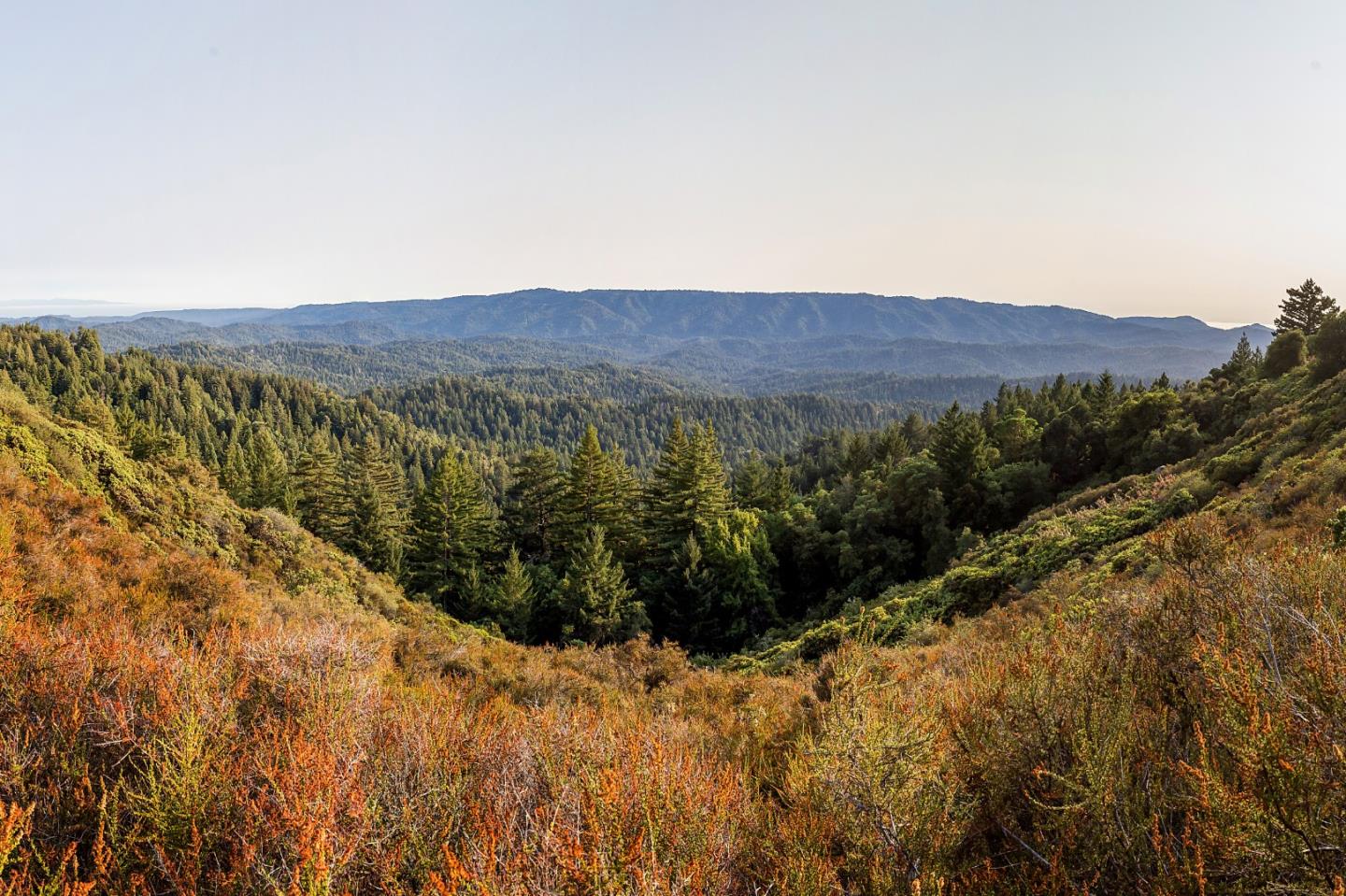 089-011-04 Skyview Road, BOULDER CREEK, California 95006, ,Lots And Land,For Sale,Skyview Road,40965310